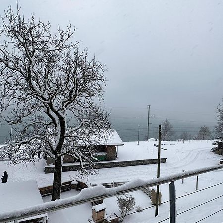 Lake View Residence Niederried bei Interlaken Luaran gambar
