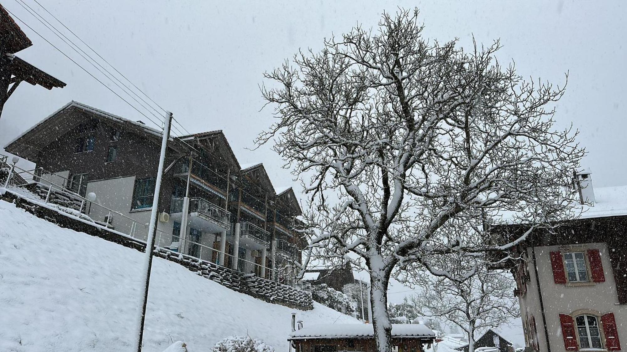 Lake View Residence Niederried bei Interlaken Luaran gambar