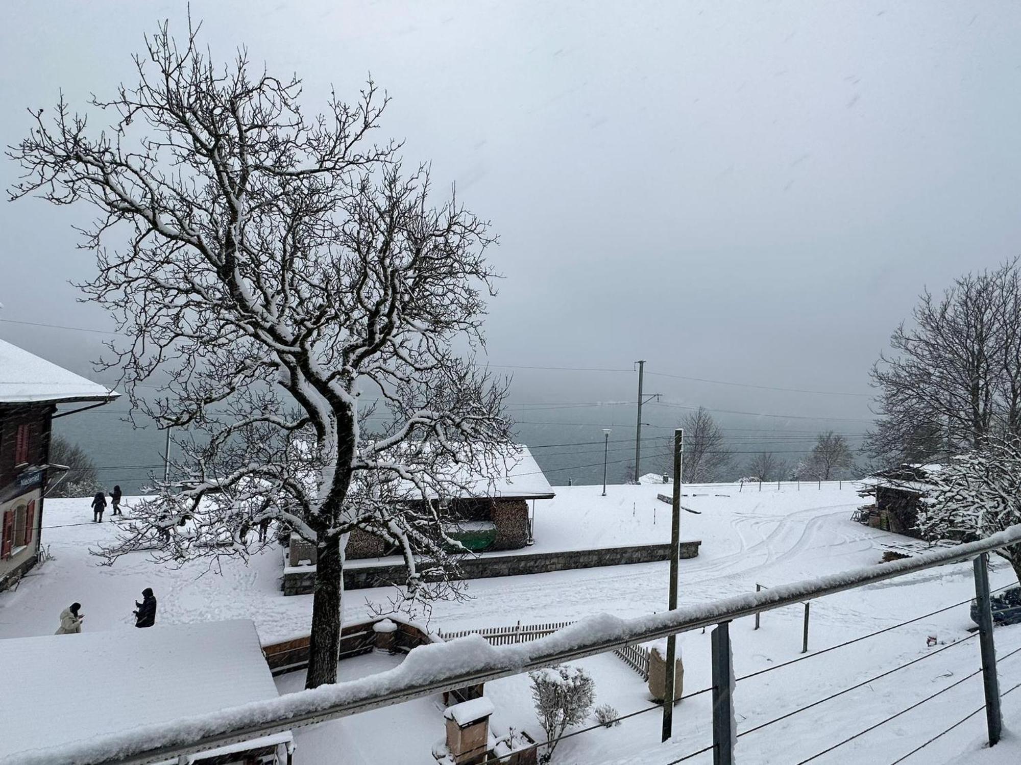 Lake View Residence Niederried bei Interlaken Luaran gambar